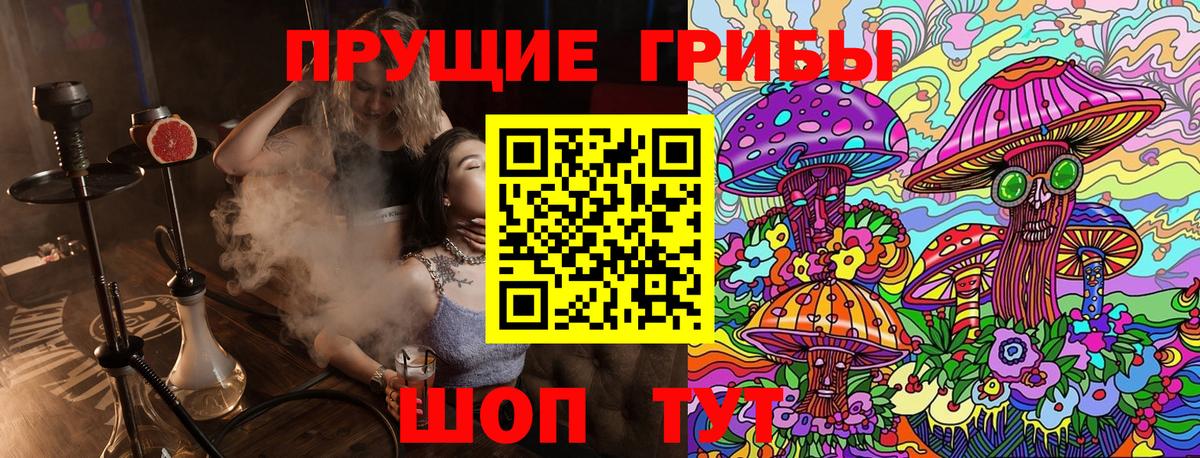 ГАШ Дятьково