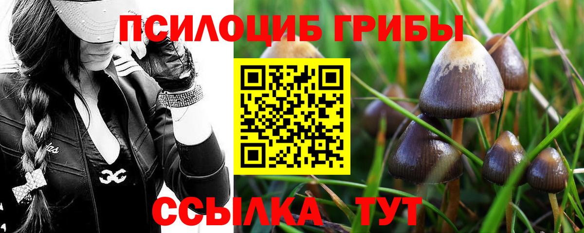 Галлюциногенные грибы прущие грибы  Псилоцибиновые грибы прущие грибы  Дятьково 