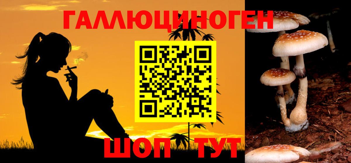 Галлюциногенные грибы MAGIC MUSHROOMS Дятьково